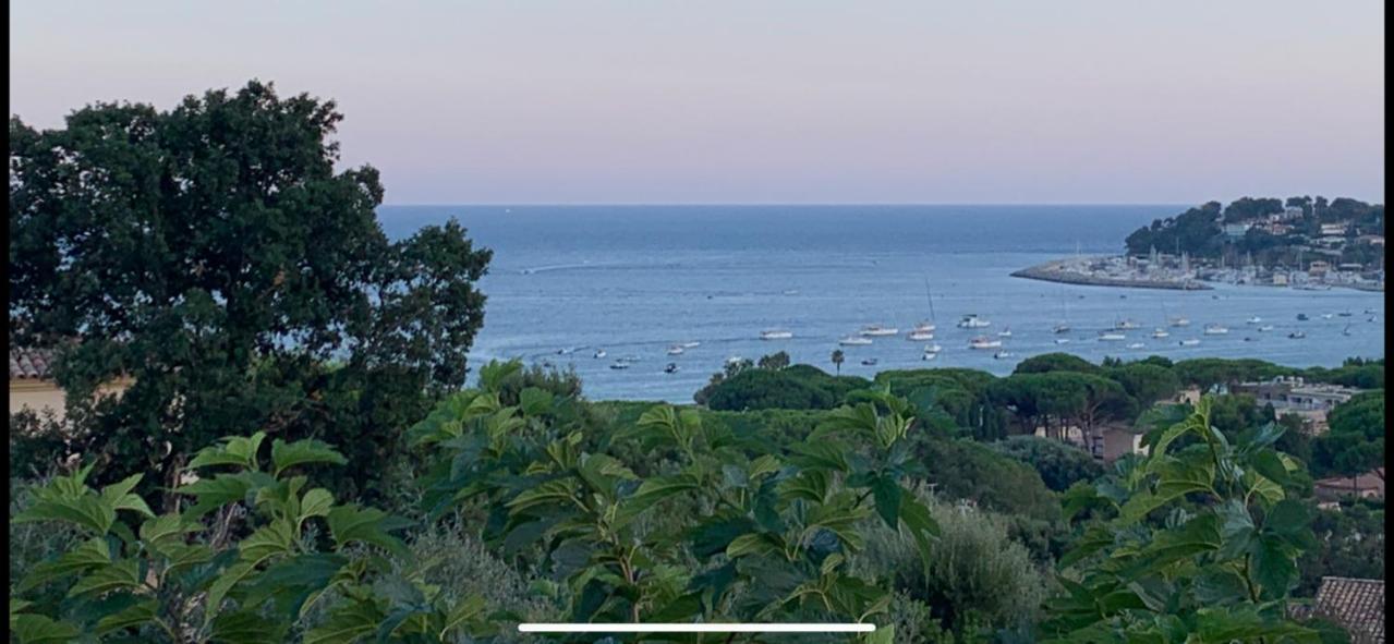 Les Citronniers - Splendide Vue Mer Acces Plage A Pieds A 5 Minutes 滨海卡瓦莱尔 外观 照片